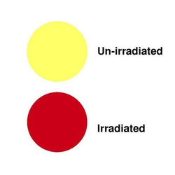 > </div>
<div class=